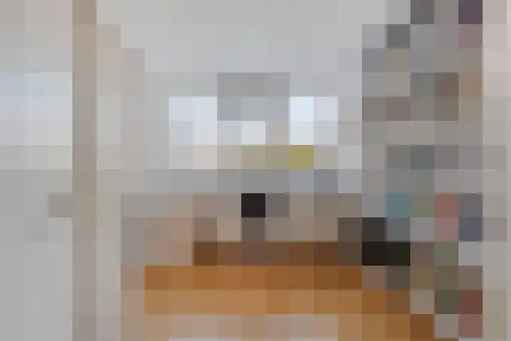 Wilhelminastraat 2 Rhoon thumbnail 18