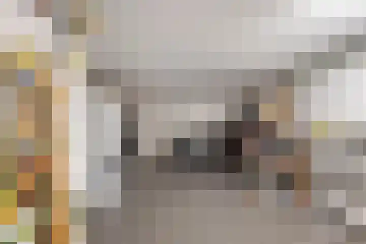 Wilhelminastraat 2 Rhoon thumbnail 21