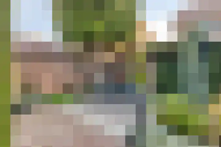 Wilhelminastraat 2 Rhoon thumbnail 26