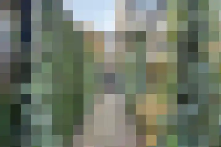 Wilhelminastraat 2 Rhoon thumbnail 27