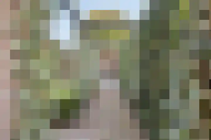Wilhelminastraat 2 Rhoon thumbnail 28