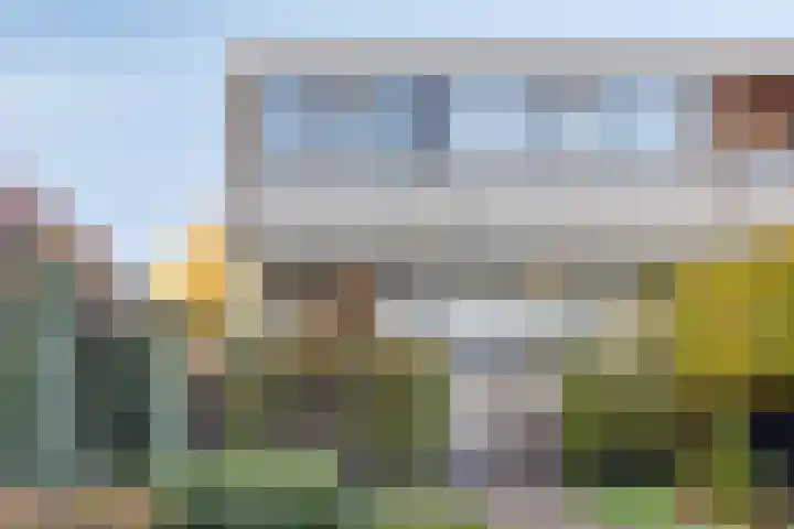 Wilhelminastraat 2 Rhoon thumbnail 29