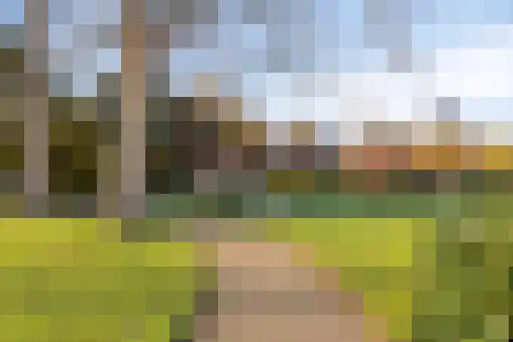 Wilhelminastraat 2 Rhoon thumbnail 32