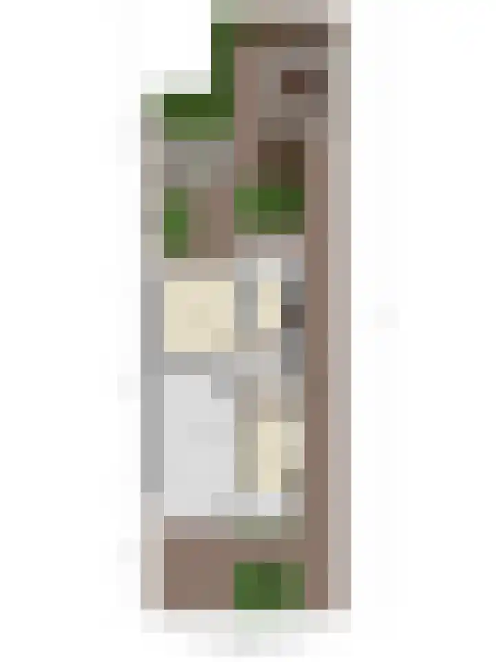 Wilhelminastraat 2 Rhoon thumbnail 33