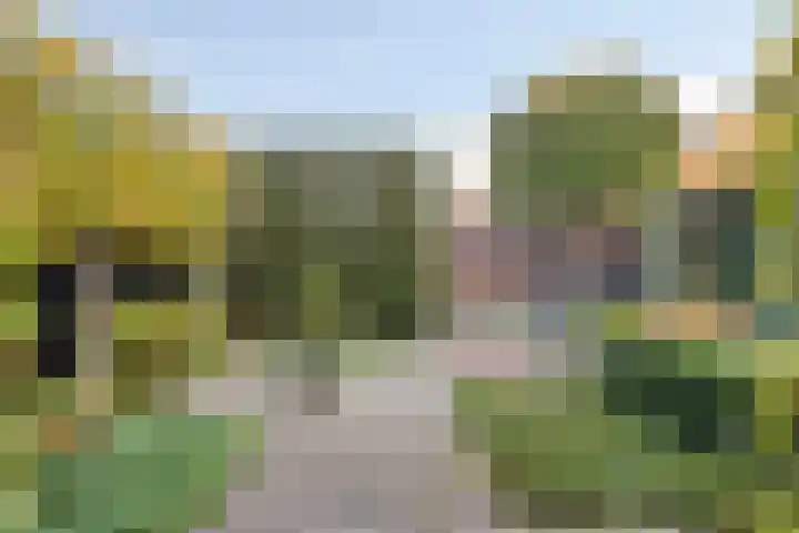 Wilhelminastraat 2 Rhoon thumbnail 5