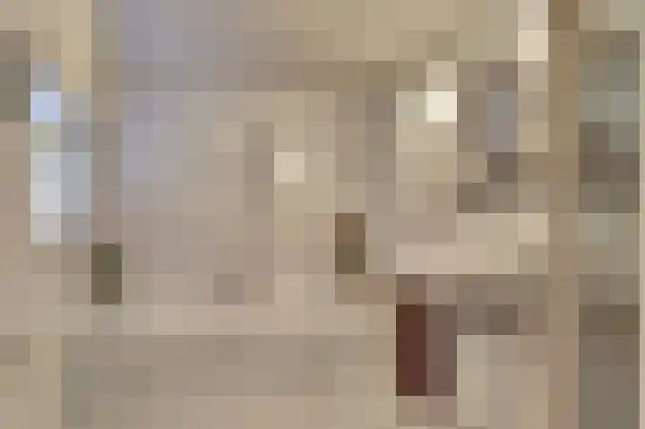 Wilhelminastraat 2 Veen thumbnail 18