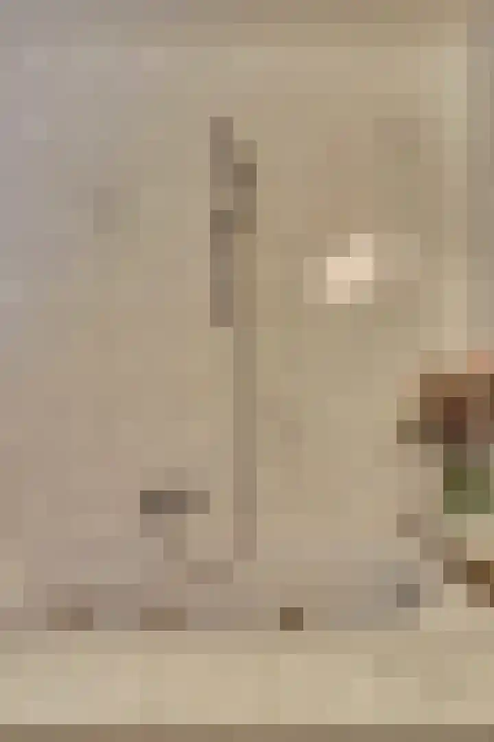 Wilhelminastraat 2 Veen thumbnail 20