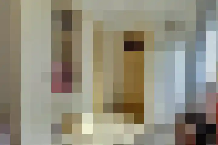 Wilhelminastraat 2 Veen thumbnail 27