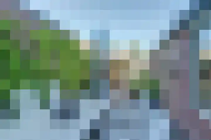 Wilhelminastraat 2 Veen thumbnail 33
