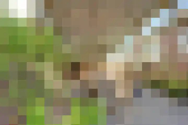 Wilhelminastraat 2 Veen thumbnail 34