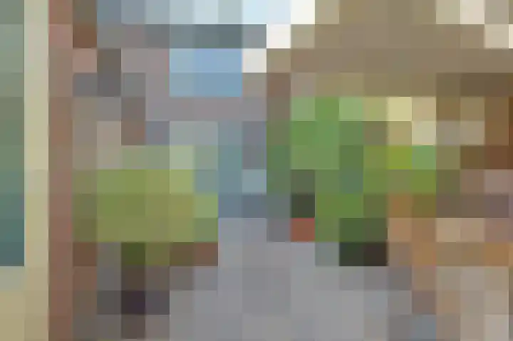 Wilhelminastraat 2 Veen thumbnail 35