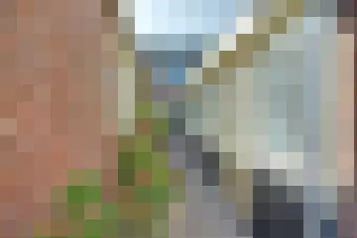 Wilhelminastraat 2 Veen thumbnail 37