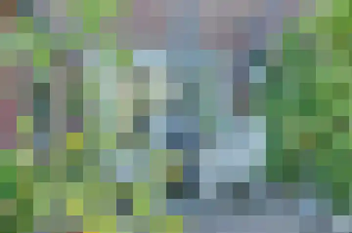 Wilhelminastraat 2 Veen thumbnail 41