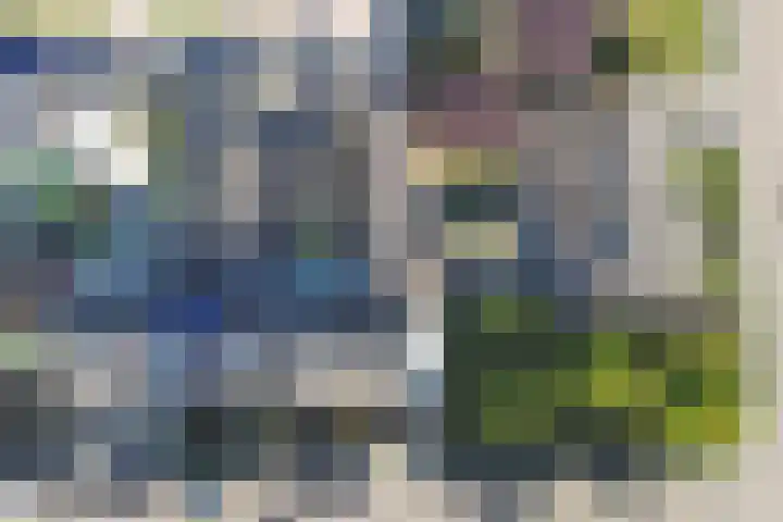 Wilhelminastraat 2 Veen thumbnail 43