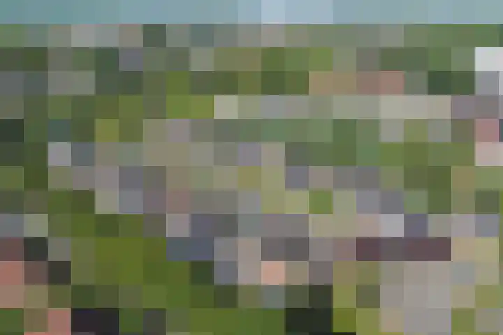 Wilhelminastraat 2 Veen thumbnail 44