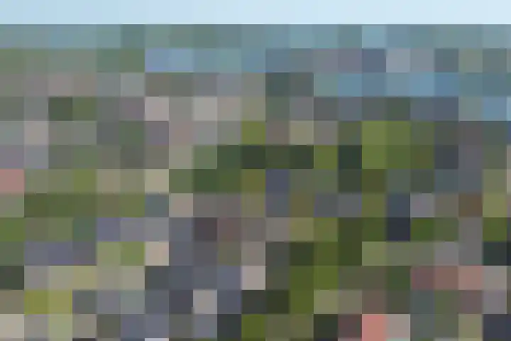 Wilhelminastraat 2 Veen thumbnail 45