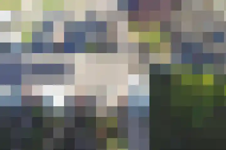Wilhelminastraat 2 Veen thumbnail 46