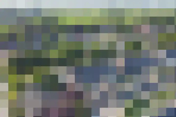 Wilhelminastraat 2 Veen thumbnail 48