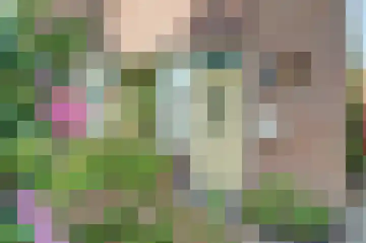 Wilhelminastraat 2 Veen thumbnail 5