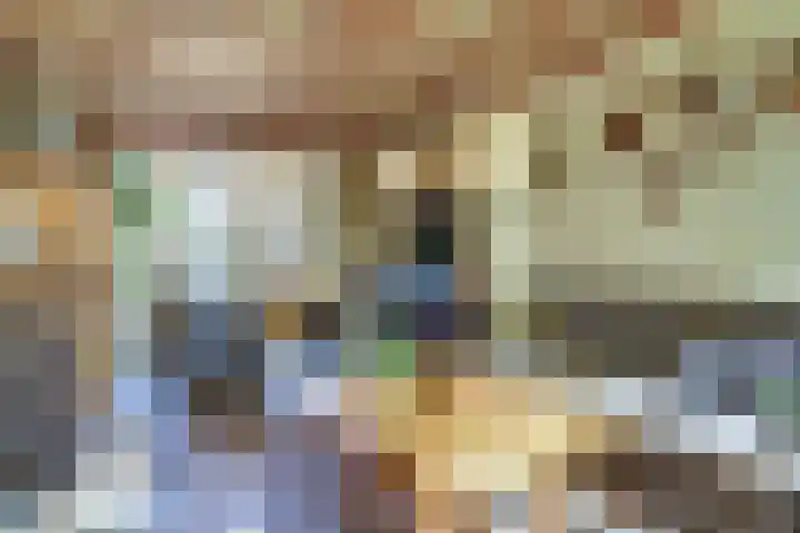 Wilhelminastraat 2 Veen thumbnail 7