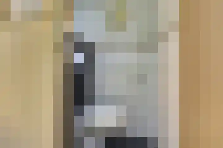 Wilhelminastraat 2 Veen thumbnail 9