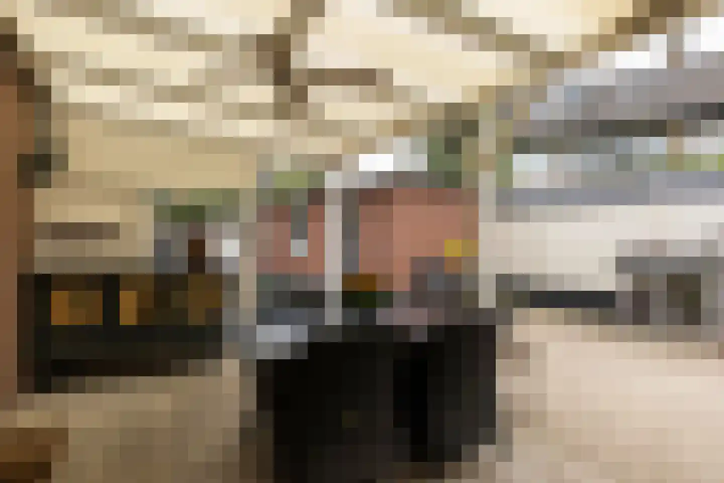 Wilhelminastraat 2 Veldhoven thumbnail 24
