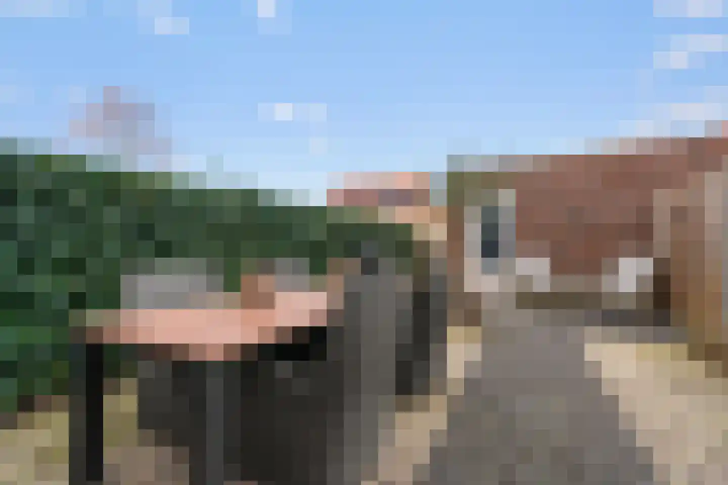 Wilhelminastraat 2 Vianen thumbnail 12