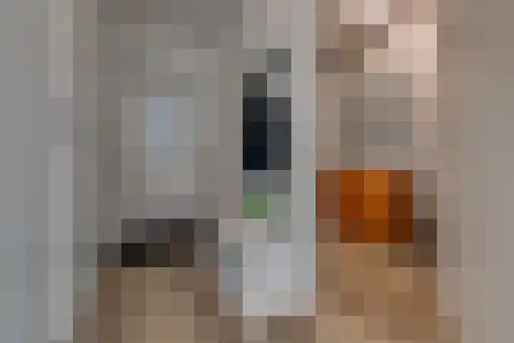 Wilhelminastraat 2 Vlagtwedde thumbnail 16