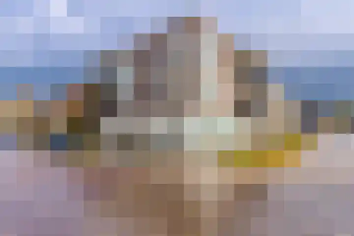Wilhelminastraat 2 Vlagtwedde thumbnail 6