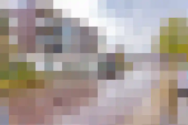 Wilhelminastraat 2 Vlagtwedde thumbnail 9