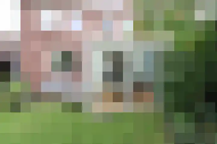 Wilhelminastraat 20 a Boxtel thumbnail 63