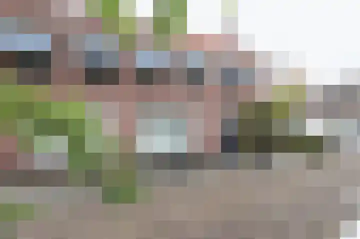 Wilhelminastraat 20 a Boxtel thumbnail 67