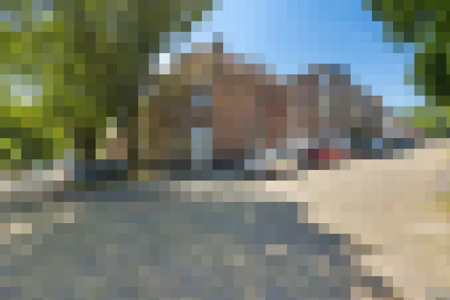 Wilhelminastraat 20 Arnhem thumbnail 23