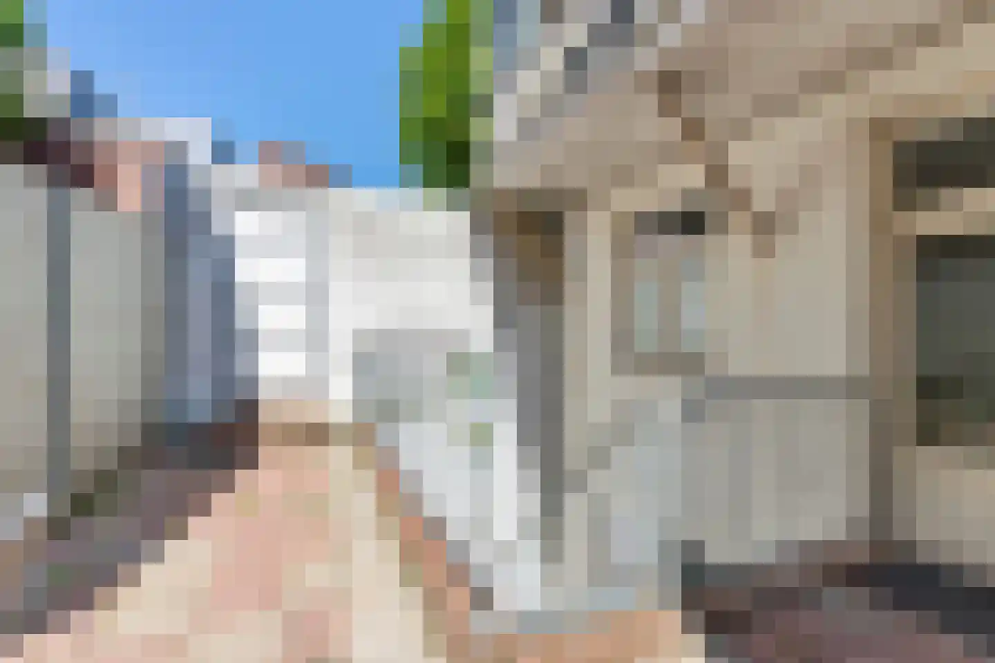 Wilhelminastraat 20 Arnhem thumbnail 25