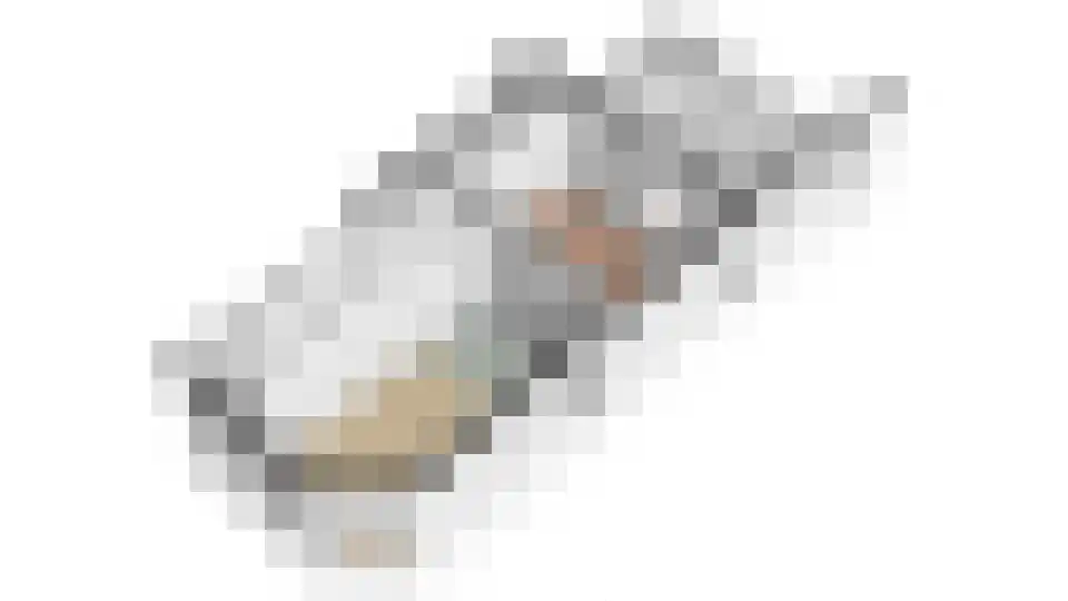 Wilhelminastraat 20 Arnhem thumbnail 41