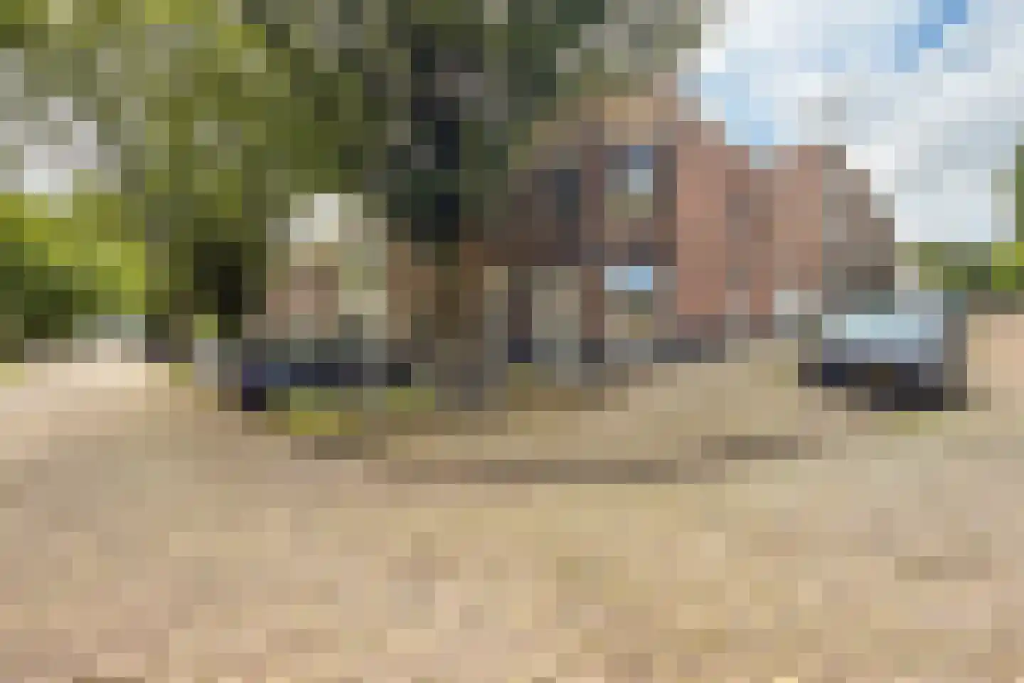 Wilhelminastraat 20 Arnhem thumbnail 8