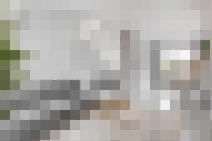 Wilhelminastraat 20 Capelle aan den IJssel thumbnail 10