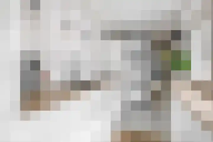 Wilhelminastraat 20 Capelle aan den IJssel thumbnail 11