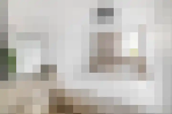 Wilhelminastraat 20 Capelle aan den IJssel thumbnail 4