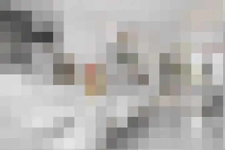 Wilhelminastraat 20 Capelle aan den IJssel thumbnail 6
