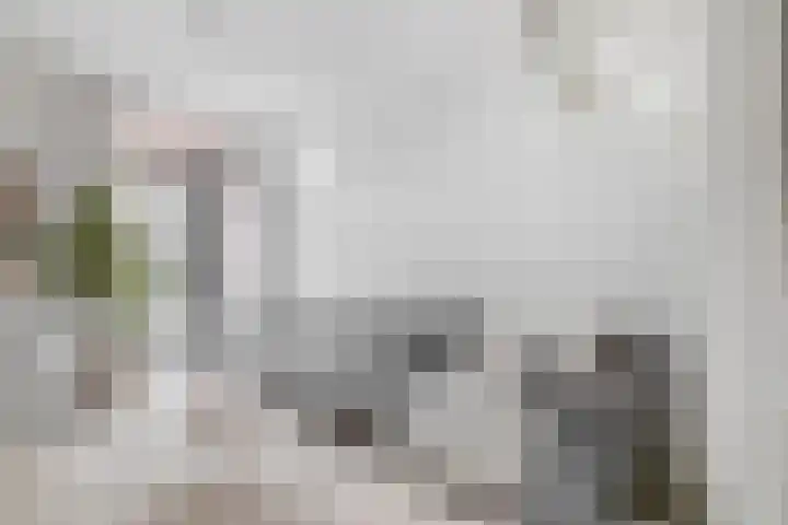 Wilhelminastraat 20 Capelle aan den IJssel thumbnail 8