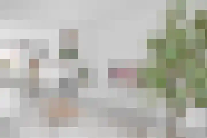 Wilhelminastraat 20 Capelle aan den IJssel thumbnail 9