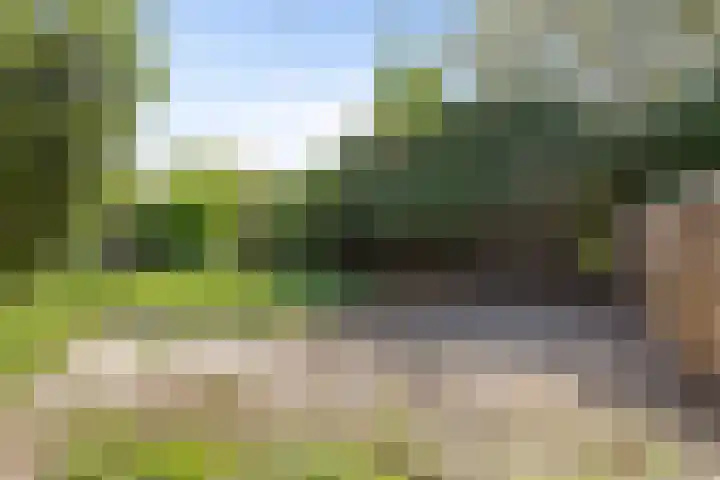 Wilhelminastraat 20 Heeswijk-Dinther thumbnail 19