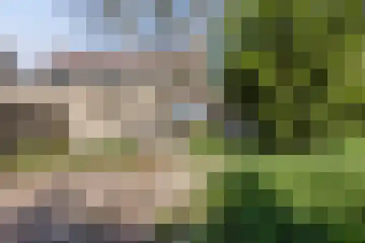 Wilhelminastraat 20 Heeswijk-Dinther thumbnail 20