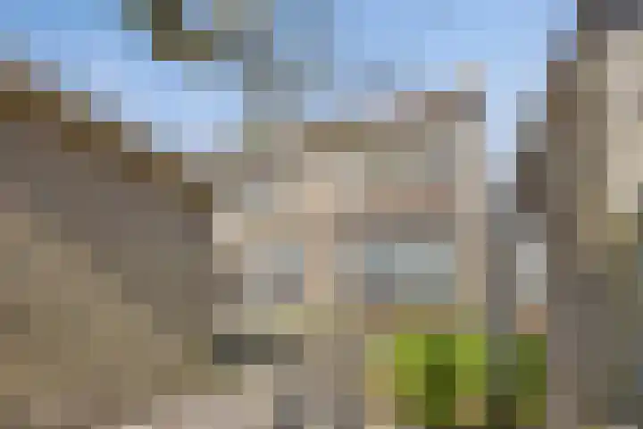 Wilhelminastraat 20 Heeswijk-Dinther thumbnail 21