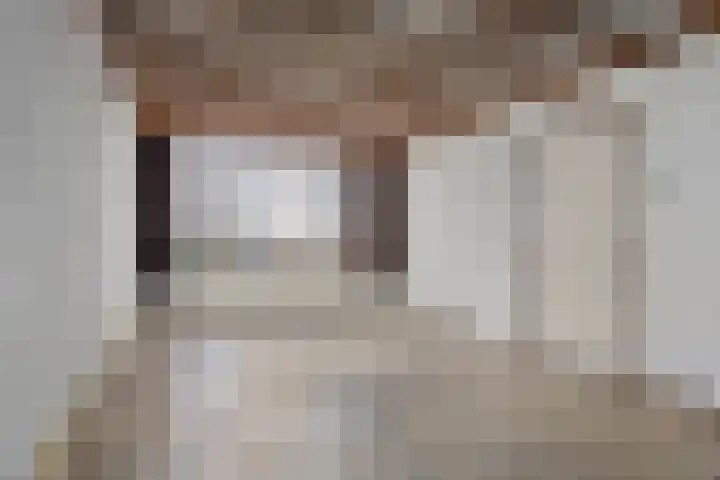 Wilhelminastraat 20 Heeswijk-Dinther thumbnail 5