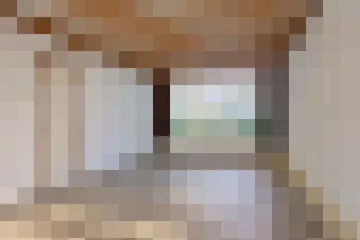 Wilhelminastraat 20 Heeswijk-Dinther thumbnail 6