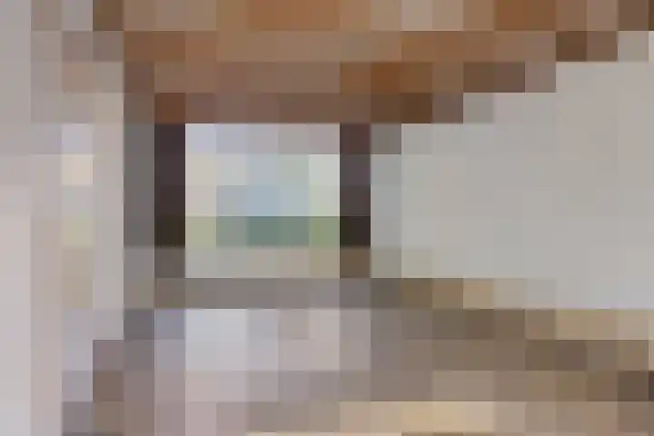 Wilhelminastraat 20 Heeswijk-Dinther thumbnail 7