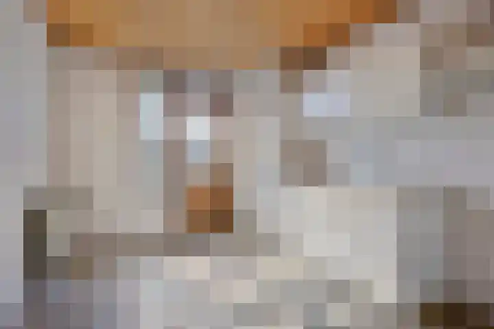 Wilhelminastraat 20 Heeswijk-Dinther thumbnail 8