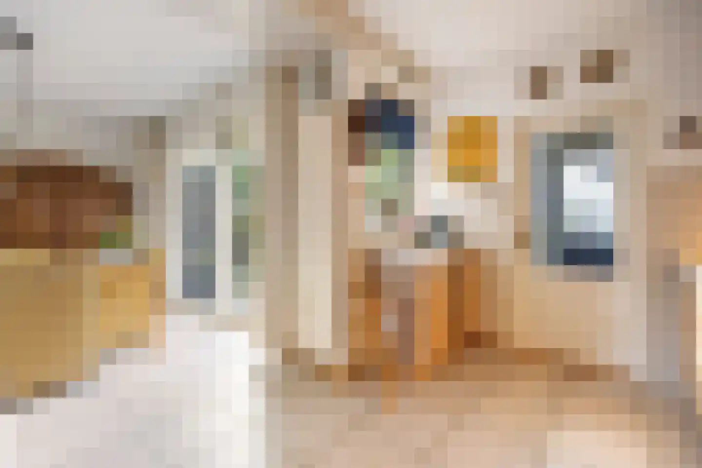 Wilhelminastraat 20 Huissen thumbnail 10